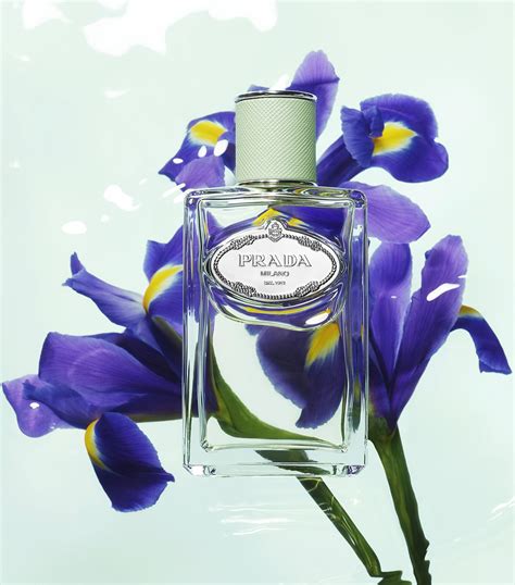 iris Prada infusion